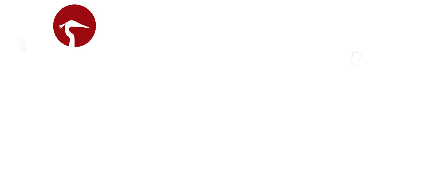 Heron Point Construction